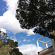 Illustration for article titled Pictures from the Getty Villa